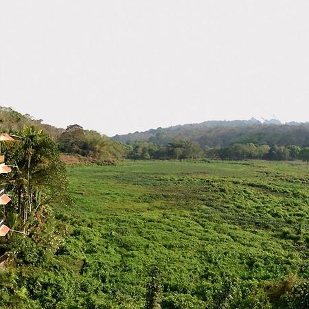 Jungle Palace Homestay 提喀迪 外观 照片