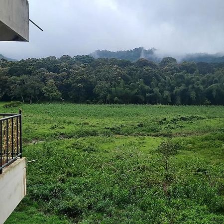 Jungle Palace Homestay 提喀迪 外观 照片