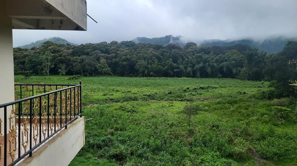 Jungle Palace Homestay 提喀迪 外观 照片